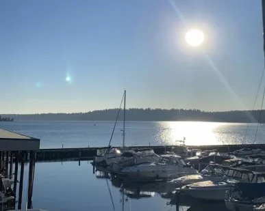 Hashbang Office View
